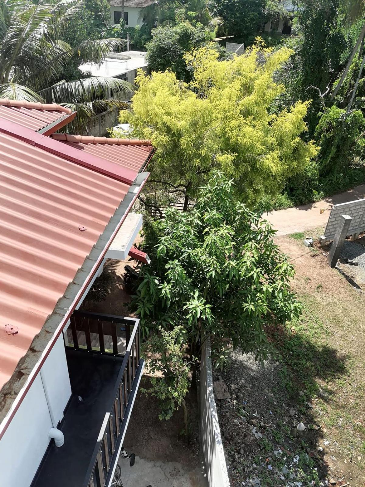 Oceanic Bliss Hotel Weligama Exterior photo